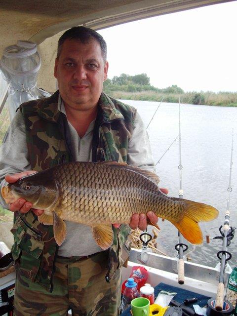 delta rosu 2010 - sany1196.JPG